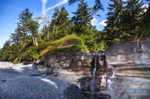 Juan de Fuca Provincial Park-7506